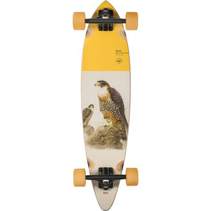 Globe Pintail 34 Complete - Falcon 8.75x34