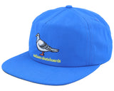 Anti-Hero Lil Pigeon Adjustable Hat - Blue / Yellow