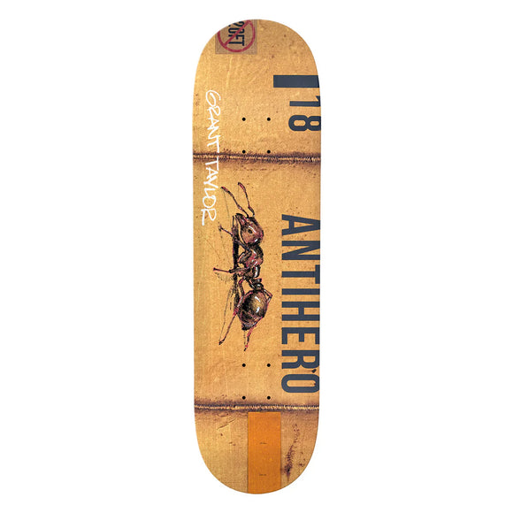 Antihero Grant Taylor Intermodal Deck - 8.3